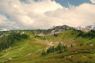 Kozalaklı orman ve yeşil yamaçlarla vahşi dağda nefes kesici bir yaz günü. Çayırlı dağ manzarası. Bulutlu gökyüzü ile dağlık bir manzara. Manzaralı yeşil tepe.