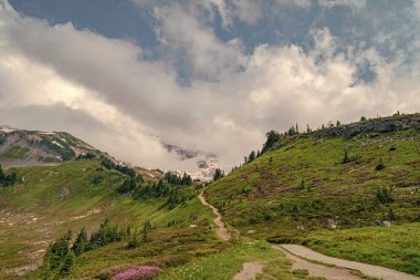 Çayırlı dağ manzarası. Bulutlu gökyüzü ile dağlık bir manzara. Yeşil Tepe Dağı manzaralı. Seyahat güzergahı. Kozalaklı orman ve yeşil yamaçlarla vahşi dağlarda nefes kesici bir yaz günü..