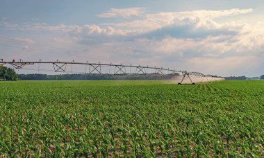 Damlatma sulama sistemi. Ekin sulama. Tarım ve tarım. Kırsal kesimdeki tarımsal tarlaları sulama sistemi. Organik sebze çiftliği. Su fıskiyesi sulama alanı. Ürün verimi.