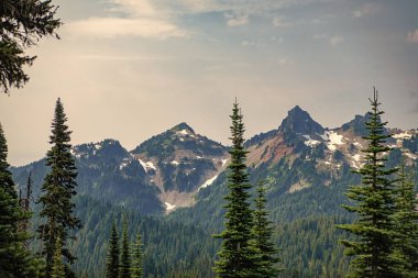 Dağ manzarası. Dağlı orman doğası. Dağ kırsalında doğa. Dağ manzaralı bir yer. Manzara kozalaklı orman. Çam ağacı ve ormanlı dağ manzarası.