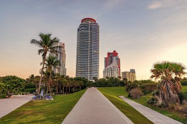 Miami 'nin güney sahilinde gökdelenli park yolu. Miami Beach 'in güzel parkında yürüyüş yolu. Yol güzergahı. Park yolu yolu yolu. Seyahat güzergahı. Varış yolu. Dışarıdaki turistik yollar..
