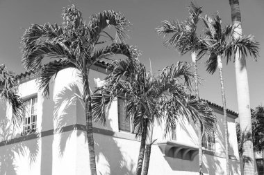 Balkonları ve palmiye ağaçları olan bir apartman. Binanın düşük açılı görüntüsü. Konut mimarisi. Mimari dış görünüş. Evin dış kısmı parçalanmış. Modern apartman.