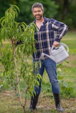 Bahçıvan bahçede meyve ağacıyla ilgileniyor. Adam bitki dikiyor. Bahçedeki çiftçi. Organik meyve tarımı. Meyve bahçesi. Organik yeşil tarlalar. Çiftçi bahçıvan.