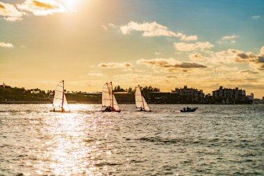 Denizdeki yat yarışları. Yaz tatilinde deniz tatili. Fisher Adası Binası. Yelkenli yat. Miami 'de yatçılık. Tekne ve yat gezisi. Spor yaşam tarzı. Yaz tatilleri. Yelkenli yarışı.