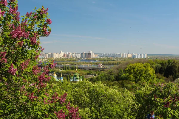 Paarse Lila Bloemen Achtergrond Van Het Stadsgezicht Botanische Tuin Kiev — Stockfoto