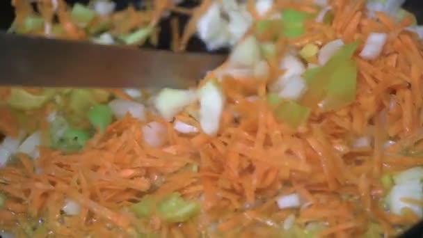 Cuchillo Revuelve Zanahorias Picadas Cebollas Pimientos Vegetales Que Fríen Una — Vídeos de Stock