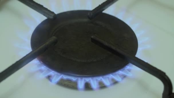 Verbrennung Von Erdgas Küchenherd Gasbrenner Makro — Stockvideo
