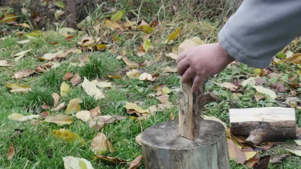 用斧头砍木头的手 — 图库视频影像