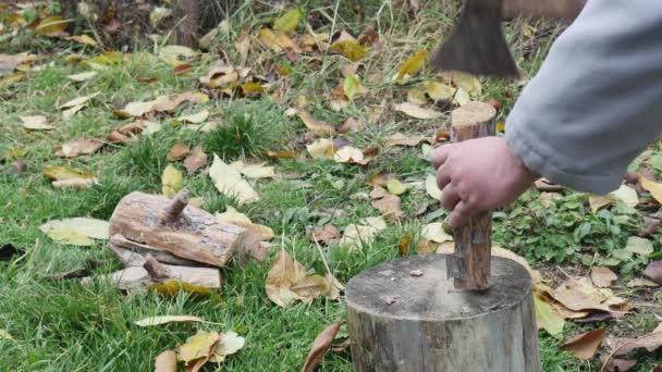 一个拿斧头的人在草地上砍木头 — 图库视频影像