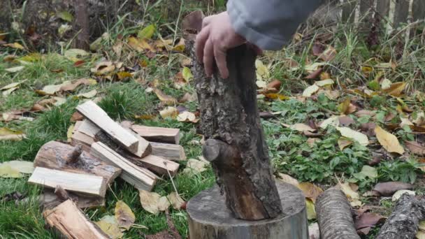 一个拿斧头的人在院子里砍柴准备过冬 — 图库视频影像
