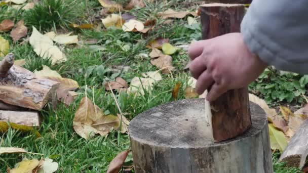 Çimlerde Baltayla Odun Kesen Adam Yakın Plan — Stok video