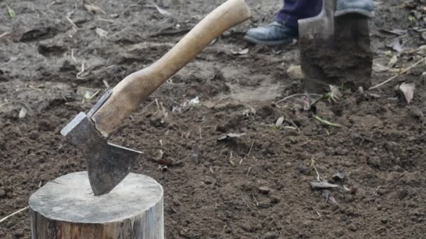农夫在花园里用铲子挖黑土 — 图库视频影像
