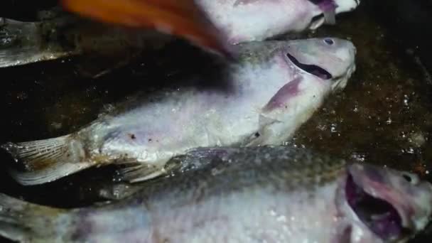 Κοντινό Πλάνο Του Τηγανίσματος Των Ψαριών Ένα Τηγάνι — Αρχείο Βίντεο