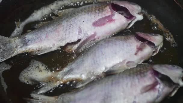 Świeże Ryby Zaczynają Smażyć Się Patelni Zbliżenie — Wideo stockowe