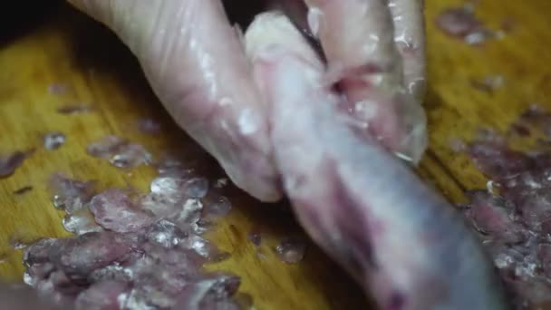 Les Mains Cuisinier Nettoient Poisson Des Écailles Avec Couteau Vérifient — Video