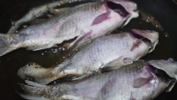 Świeże Karaś Ryba Zaczyna Smażyć Patelni Zbliżenie — Wideo stockowe