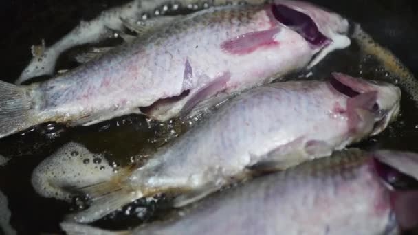 Surowe Ryby Zaczynają Smażyć Się Patelni Zbliżenie — Wideo stockowe