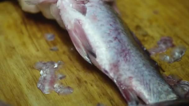 Руки Повара Очищают Рыбу Шрамов Ножом — стоковое видео