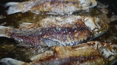  Kızartma tavasında kabuklu üç tatlı su balığı, yakın plan.