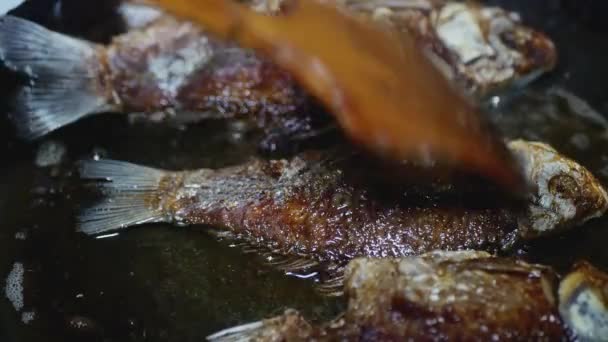Drewniana Łyżka Porusza Słodkowodną Rybą Skorupą Patelni Makro — Wideo stockowe