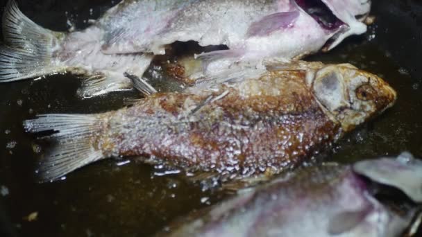 Zbliżenie Trzech Ryb Smażonych Patelni — Wideo stockowe