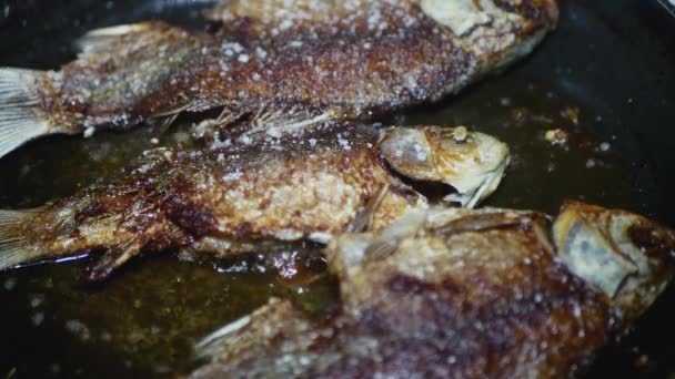Adding Salt Freshwater Fish Crust Frying Pan Macro — Stock Video