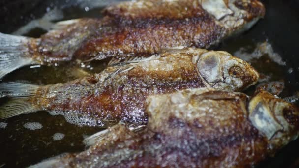 Ikan Crucian Dengan Kerak Digoreng Dalam Panci Close — Stok Video