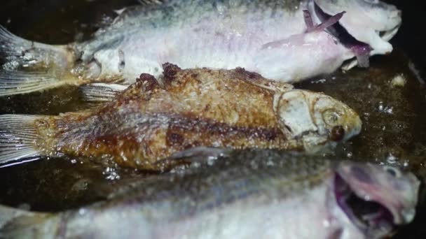 フライパンで揚げる淡水魚をクローズアップし — ストック動画
