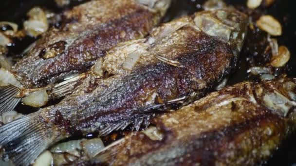 Прісноводні Риби Скоринкою Цибулею Сковороді Макро — стокове відео