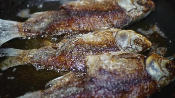 Tiga Ikan Crucian Dengan Kerak Goreng Panci Penggorengan Close — Stok Video