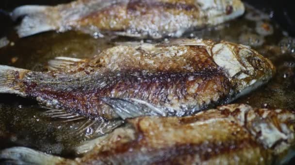 Drei Süßwasserfische Braten Einer Pfanne Nahaufnahme — Stockvideo