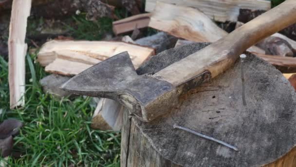Ręka Wbija Gwóźdź Kikut Siekierą Trawę Drewnem Opałowym Zbliżenie — Wideo stockowe