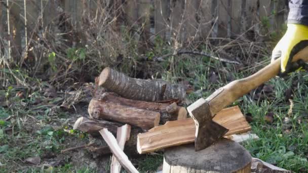 一只手把斧头插在旧栅栏后面的树桩上 — 图库视频影像