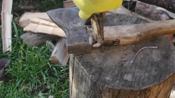 Hand Rusty Nail Puller Pulls Nail Out Stump Close — 비디오