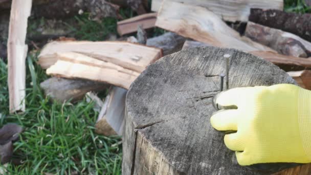 一只手用斧头把钉子钉在树桩上 — 图库视频影像