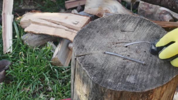 用斧头的手把弯曲的钉子钉在树桩上 在草地上与柴火对齐 — 图库视频影像