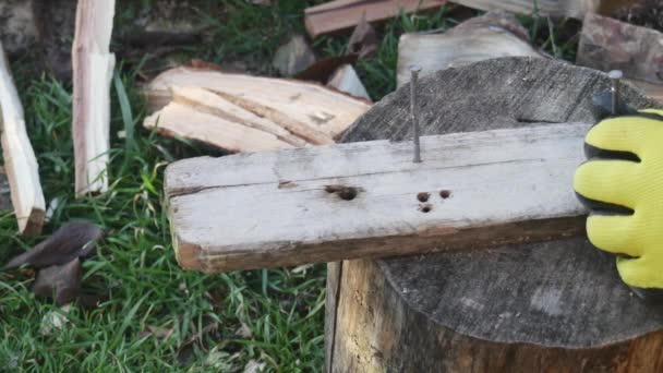 Ręka Siekierą Wbija Gwóźdź Starą Deskę Pniu Podwórku Drewna Opałowego — Wideo stockowe