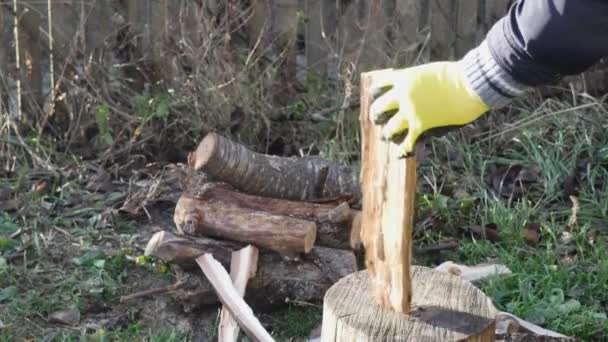 彼の庭に斧で木を切り刻む農家がいます — ストック動画