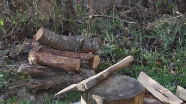 Farmer Chopping Wood — Stock Video