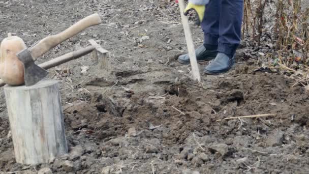 Petani Menggali Tanah Hitam Dengan Sekop Tua Lapangan — Stok Video