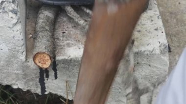 Eski demir testeresi bir dalı kesiyor, yakın plan..