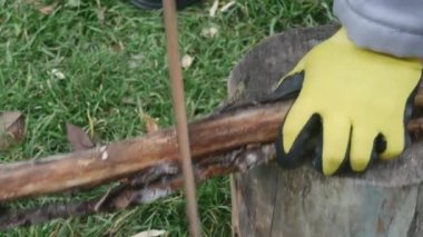 Bir kütüğün üzerinde demir testeresi ile kuru bir dal kesmek..