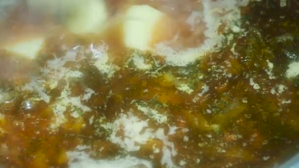 Adding Chopped Potatoes Red Borscht Cabbage Beets Macro — Videoclip de stoc