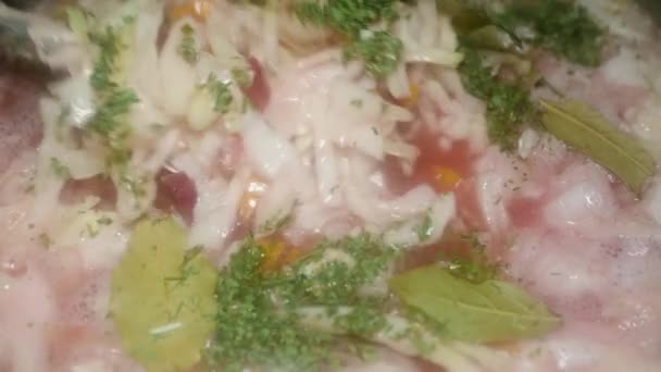 Spoon Mixes Borscht Beets Cabbage Pork Bones — Wideo stockowe