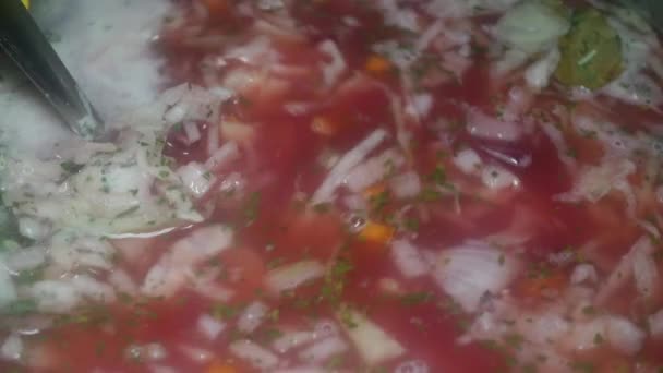 Spoon Mixes Red Borscht Beets Cabbage Meat — Stock video