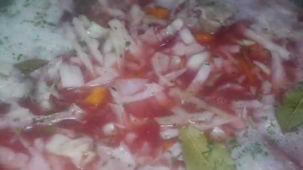 Spoon Mixes Red Borscht Beets Cabbage Pork Bones — Vídeos de Stock