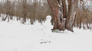  abandoned snowman in a snowy forest near a large tree