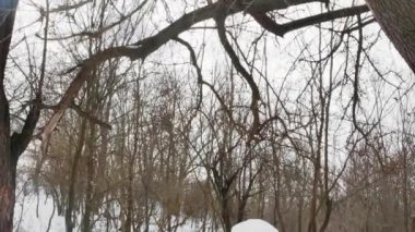 snowman under a tree in a clearing in the snow, side view.