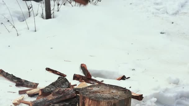 Hands Farmer Black Gloves Cut Log Snowy Yard Slow Motion — Αρχείο Βίντεο