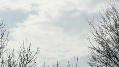 Yapraksız bulutların üzerinden geçen gökyüzünün zaman çizelgesi
